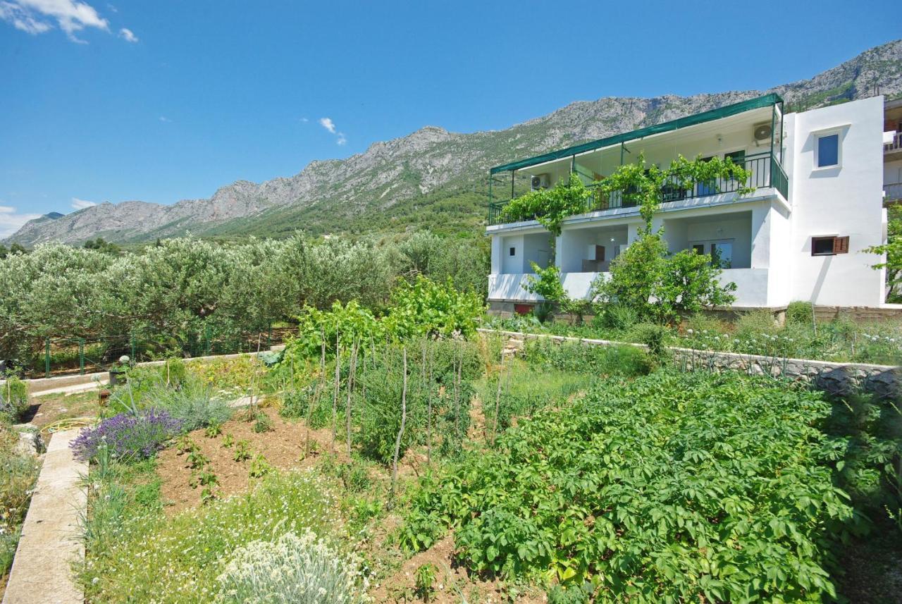 Apartmani Maslina Gradac  Dış mekan fotoğraf