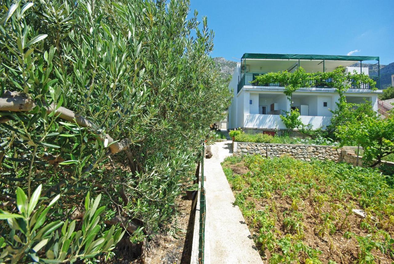 Apartmani Maslina Gradac  Dış mekan fotoğraf