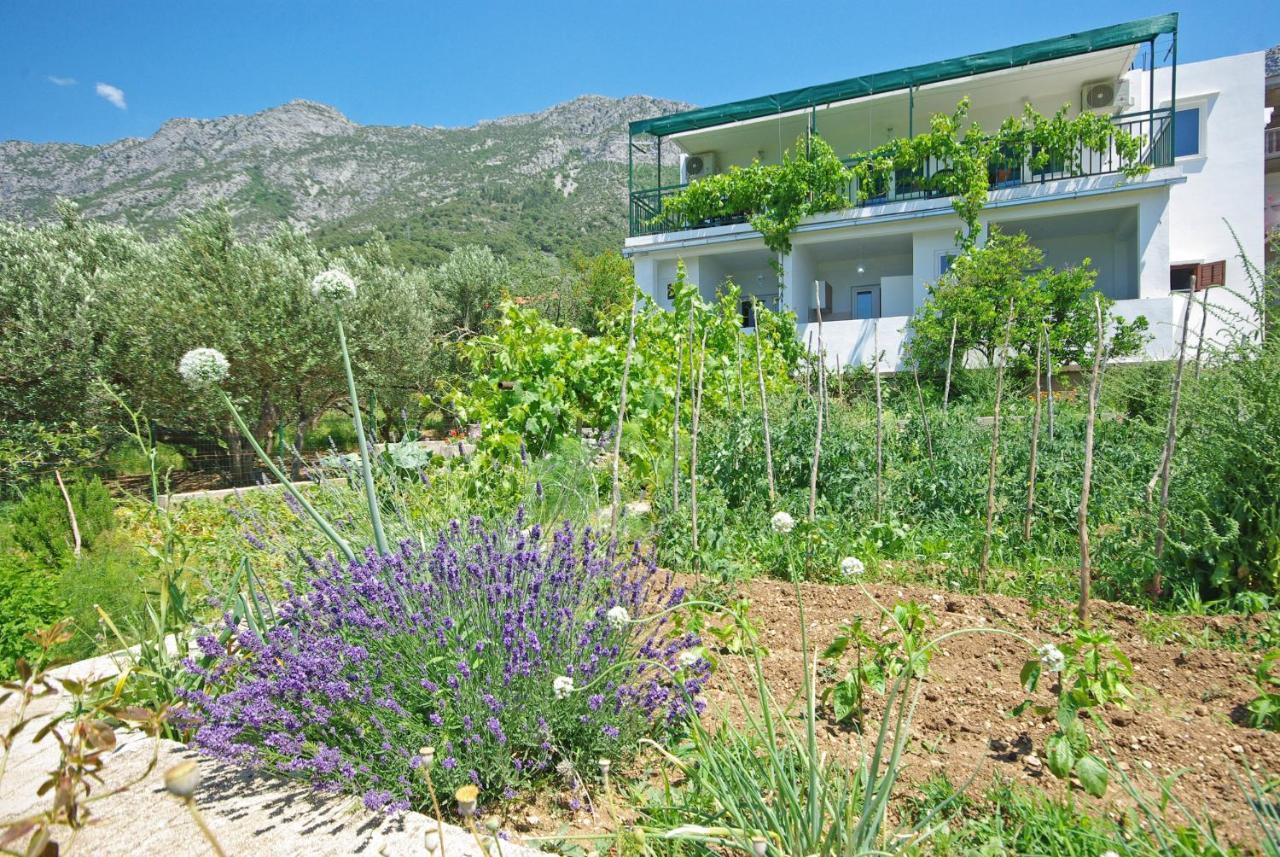 Apartmani Maslina Gradac  Dış mekan fotoğraf