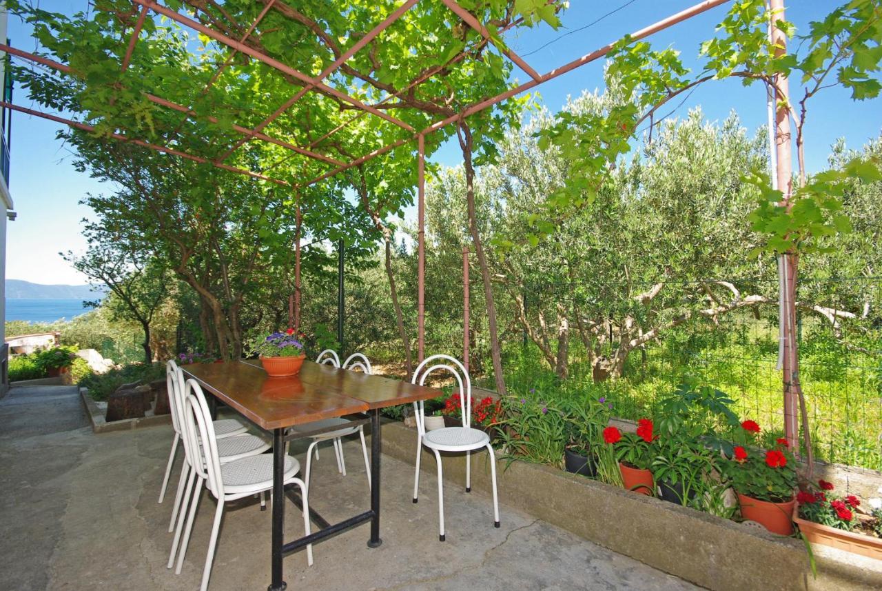 Apartmani Maslina Gradac  Dış mekan fotoğraf