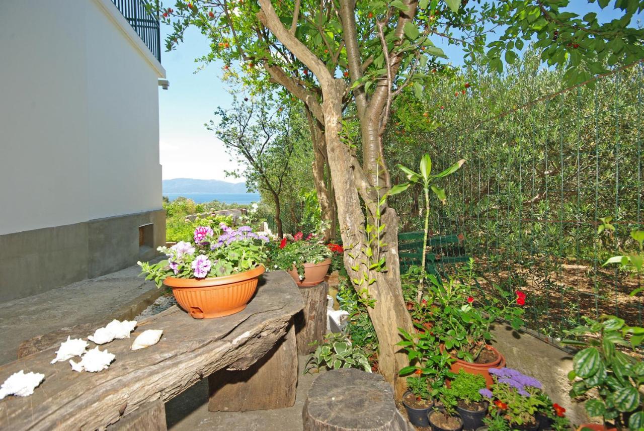 Apartmani Maslina Gradac  Dış mekan fotoğraf