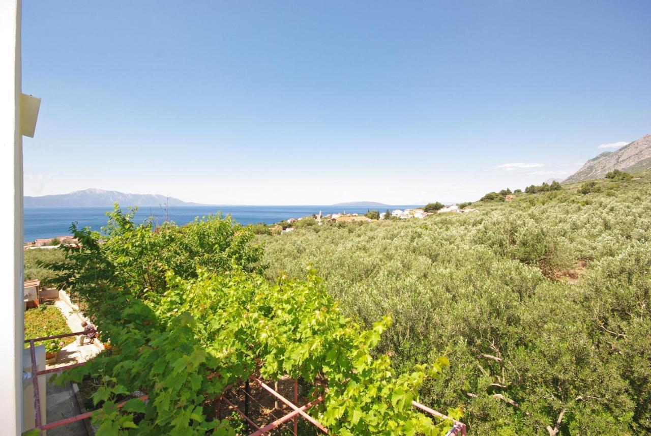 Apartmani Maslina Gradac  Dış mekan fotoğraf